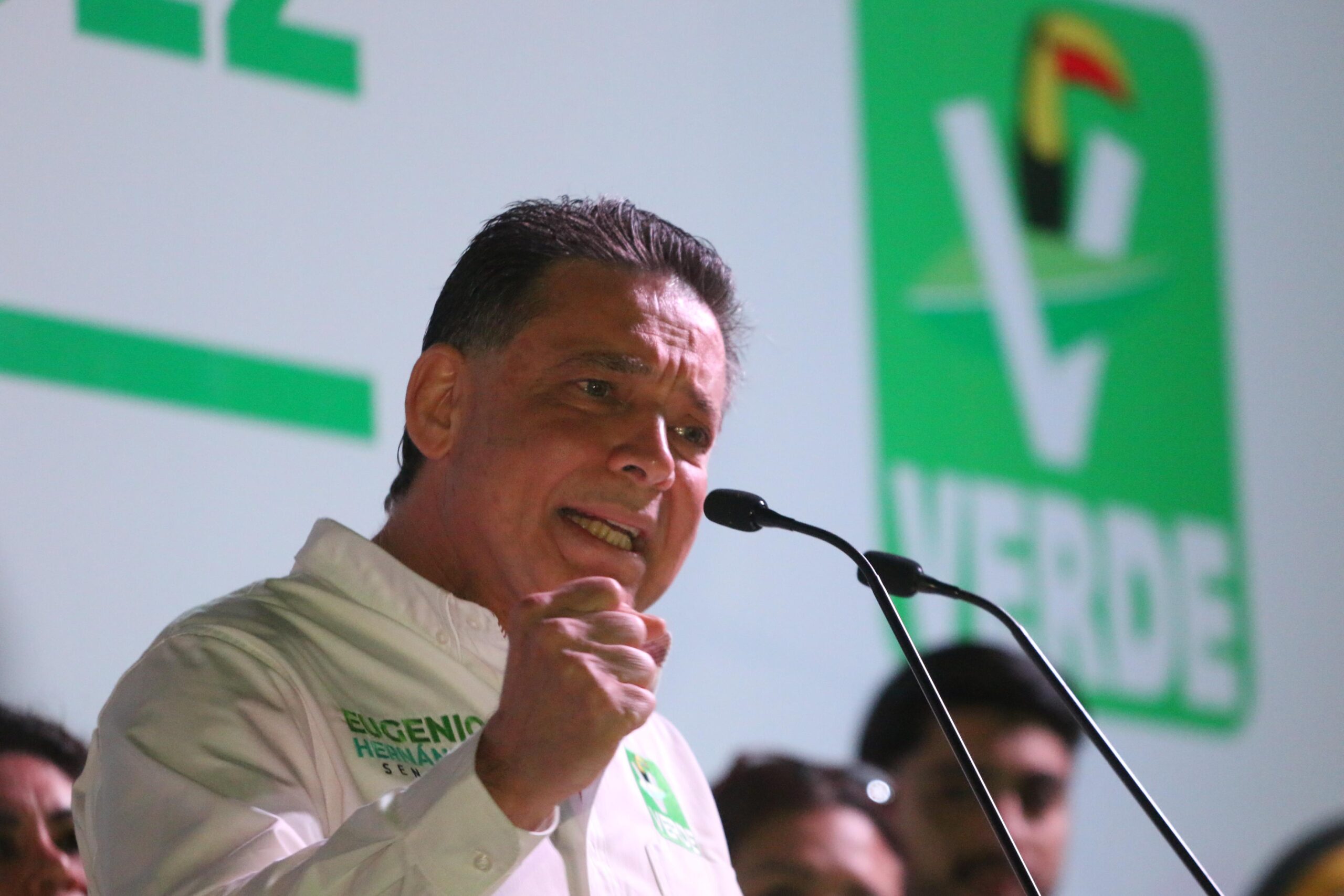 Eugenio Hernández Flores, Partido Verde, senador