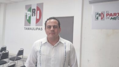 Luis Enrique Arreola PRI elecciones 2024